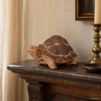  Tortoise