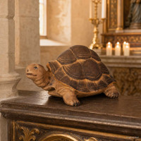  Tortoise