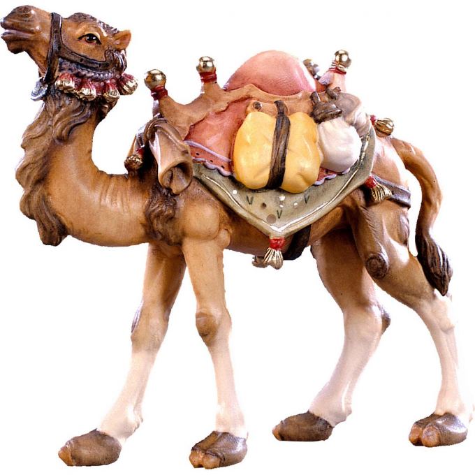 Ťava stojaca pre betlehem - farmarský