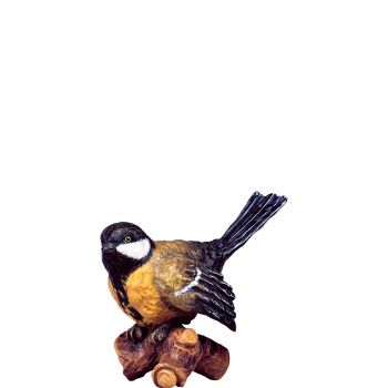 Vtáčik na konári žltý - dolomitský