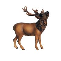 Jeleň pre betlehem - Jeruzalem