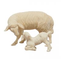 Sheep with Lamb for Natvity 1