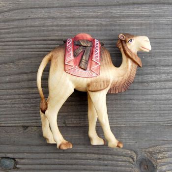 Camel for Nativity