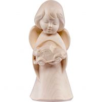 Anjel snov s autíčkom