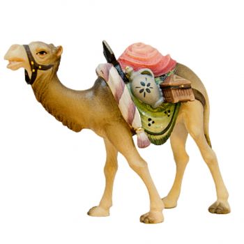 Camel for Nativity - Traditional