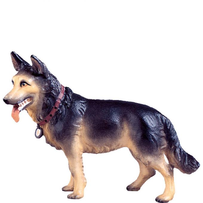 Ovčiarský pes pre betlehem - dolomitský