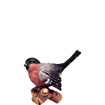 Vták na konári červený pre betlehem - farmarský