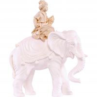 Vodič slonov - klasický