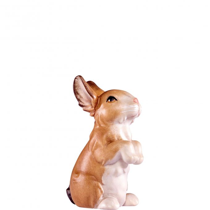 Hnedý zajac pre betlehem - Artis