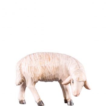 Pasúca ovečka pre betlehem - Rives