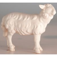 Stojaca ovečka pozerajúca doprava drevená soška figúrka zvieratá do Betlehema