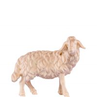Stojaca ovečka - dolomitský