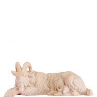 Ležiaca koza - dolomitský