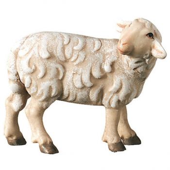 Sheep standing looking backwards - Folk