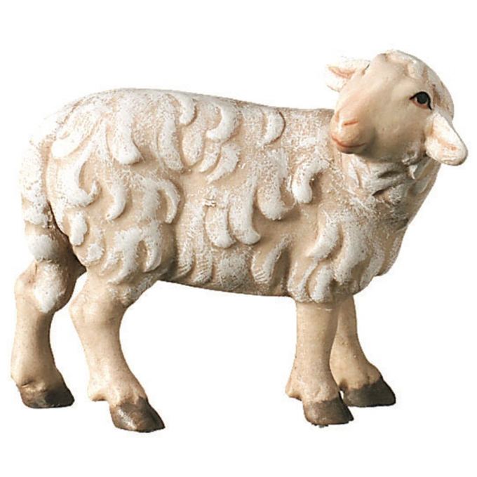 Stojaca ovečka pozerajúca dozadu drevená soška figúrka zvieratá do Betlehema