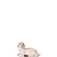 Ležiace jahňa - dolomitský