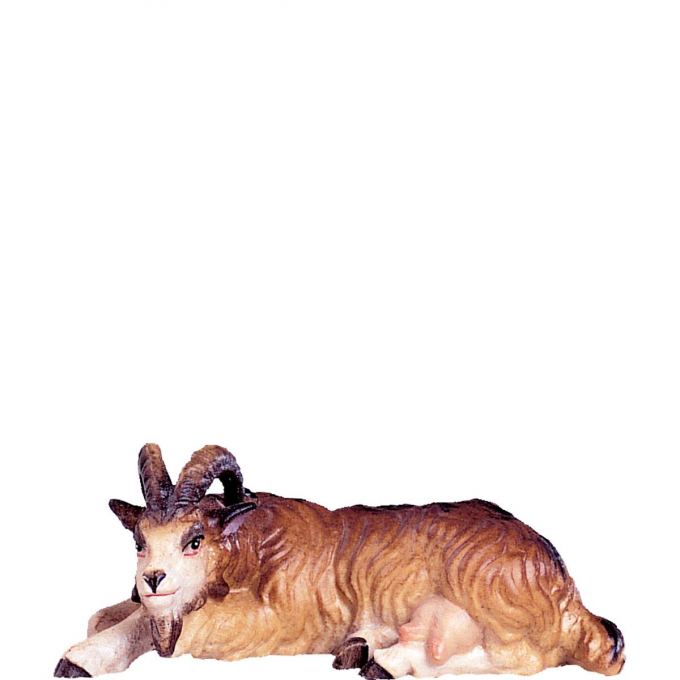 Ležiaca koza - klasický