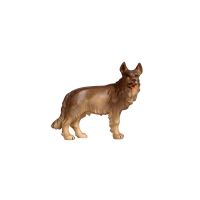 Nemecký ovčiak pre betlehem - Jeruzalem