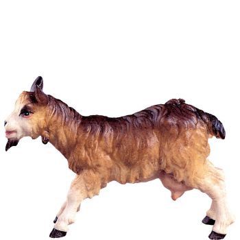 Koza pre betlehem - dolomitský