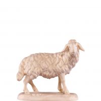 Stojaca ovca pre betlehem - farmarský