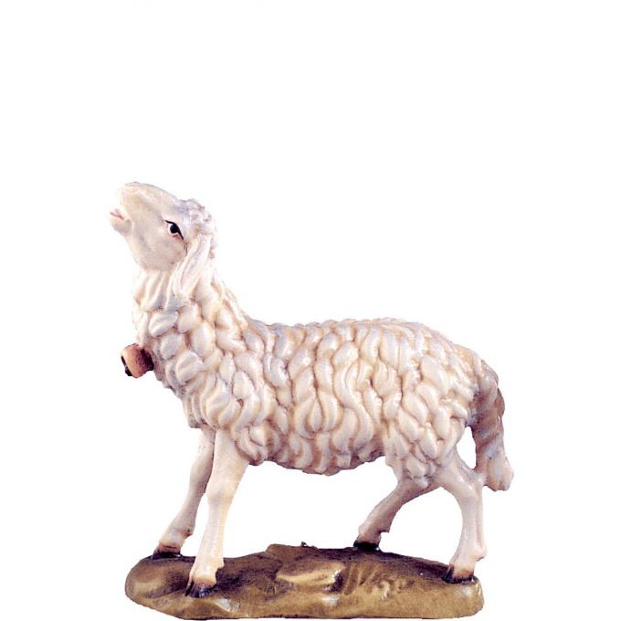 Bľačiaca ovca pre betlehem - farmarský