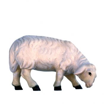 4043 Nativity Animals- Sheep,