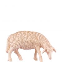Pasúca sa ovečka - dolomitský