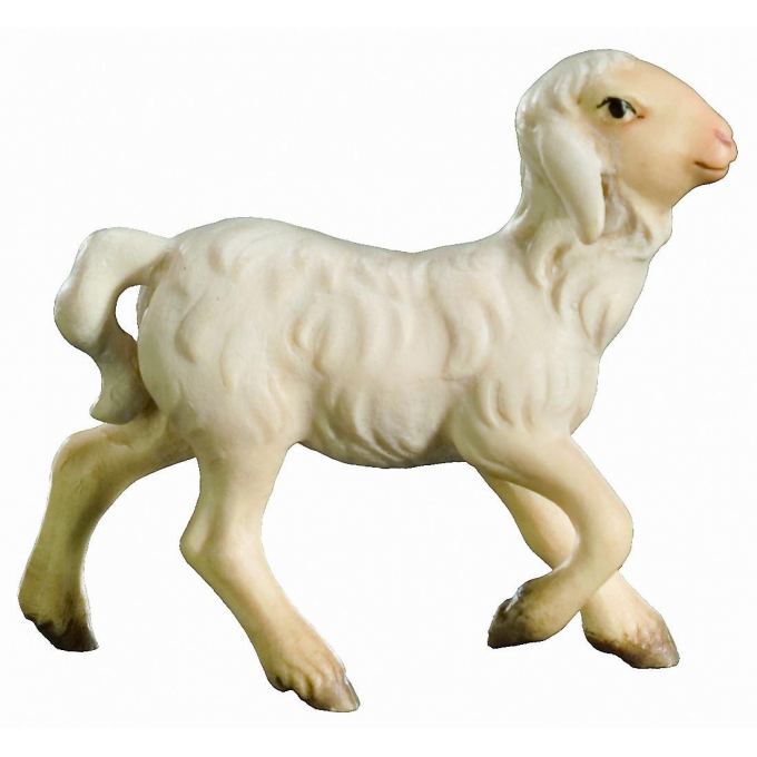 Bežiace jahňa pre betlehem - Kráľovský