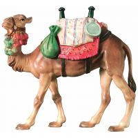 Ťava pre betlehem - Kráľovský