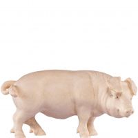 Prasiatko pre betlehem - dolomitský