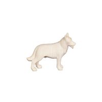 Nemecký ovčiak pre betlehem - Adventný